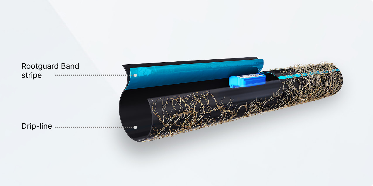 Giải phóng chậm với từng giọt