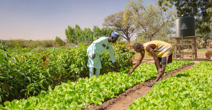 Tận dụng lực hấp dẫn vì lợi ích của các mảnh đất gia đình nhỏ