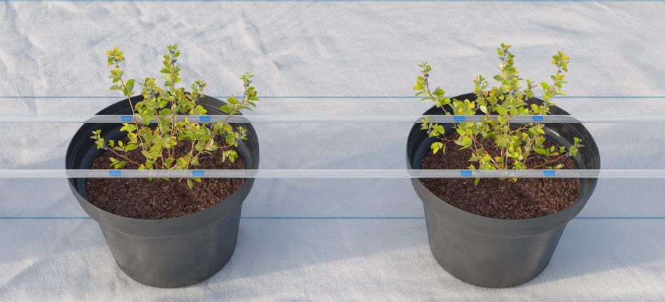 Vị trí nhỏ giọt tùy chỉnh