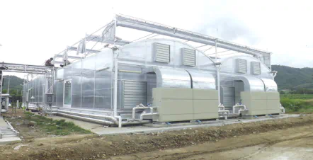 Canh tác chính xác tại nhà kính Cây Mẹ của nhà máy rượu