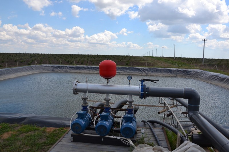 Dự án tưới tiêu tự động tiên phong cho vườn trồng cây phỉ